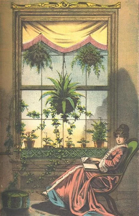 Pteridomania: The Fern Craze That Took Victorian Britain by Storm 3 Pteridomania: The Fern Craze That Took Victorian Britain by Storm